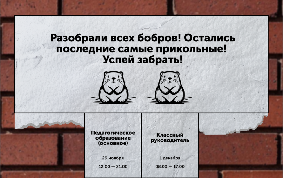 Остались последние бобры: успей принять участие